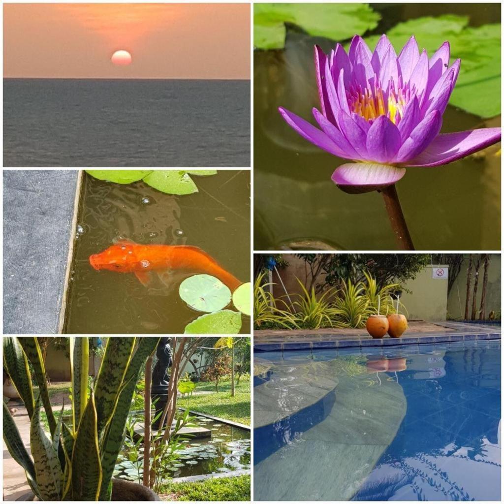 Solomon Beach Hotel Marawila Kültér fotó